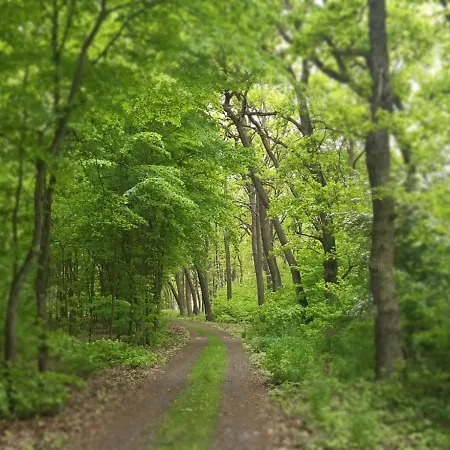 Οργανωμένο κάμπινγκ Glamping V Sadu *
